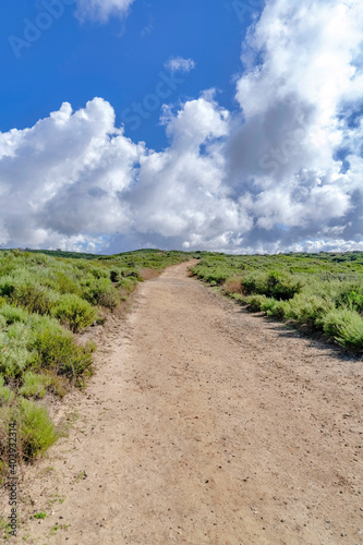 Unpaved pathway road against clouds and blue sky in Crystal Cove State Park CA