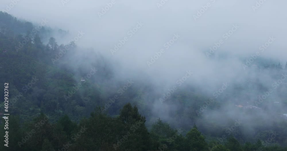 Heavy fog running through a mountainous forest in time-lapse mode Heavy fog running through a mountainous forest in time-lapse mode