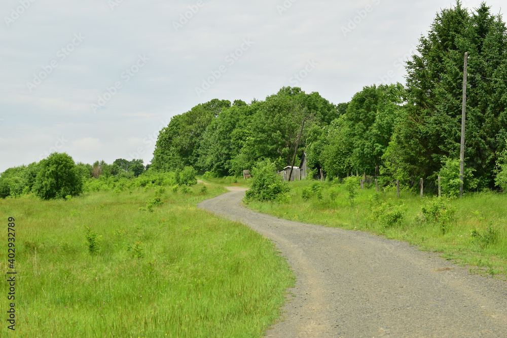 Dirt road. Rural abandoned area. Summer day.