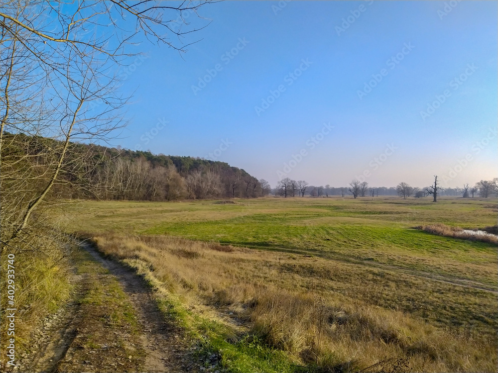 Backcountry dirt road in Rogalin landscape park, Wielkopolska region, Poland