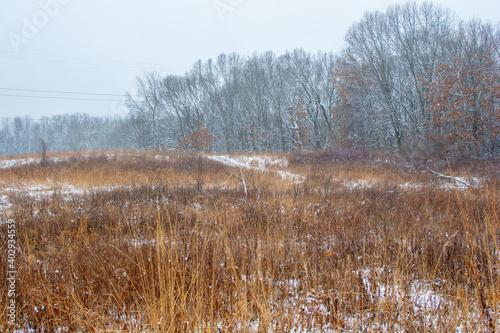 Wallpaper Mural Beautiful snowy landscape seen while hiking. There is a fresh coat of bright white snow on the ground and a colorful plain of yellow and brown foliage on either side of a hiking path. Torontodigital.ca