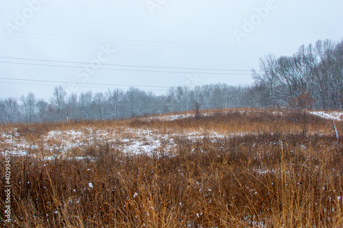 Wallpaper Mural Beautiful snowy landscape seen while hiking. There is a fresh coat of bright white snow on the ground and a colorful plain of yellow and brown foliage on either side of a hiking path. Torontodigital.ca
