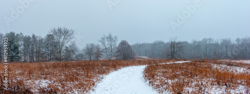 Wallpaper Mural Beautiful snowy landscape seen while hiking. There is a fresh coat of bright white snow on the ground and a colorful plain of yellow and brown foliage on either side of a hiking path. Torontodigital.ca