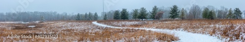 Beautiful snowy landscape seen while hiking. There is a fresh coat of bright white snow on the ground and a colorful plain of yellow and brown foliage on either side of a hiking path.