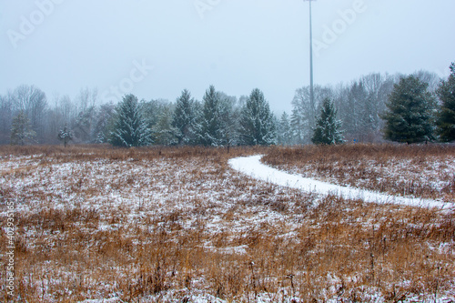 Wallpaper Mural Beautiful snowy landscape seen while hiking. There is a fresh coat of bright white snow on the ground and a colorful plain of yellow and brown foliage on either side of a hiking path. Torontodigital.ca