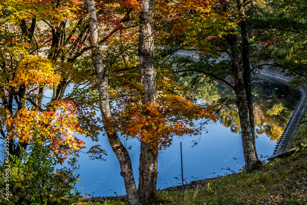 紅葉と池の水に写った森の木