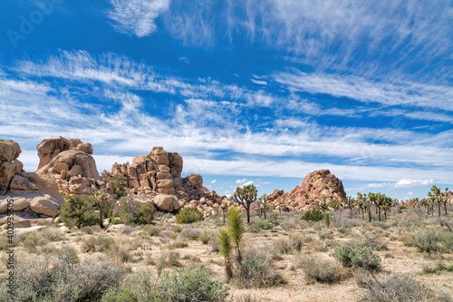 Joshua Tree National Park with giant rocks and tree yuccas on a desert landscape