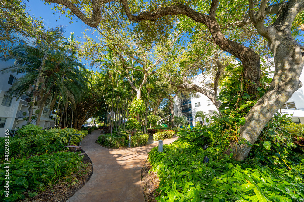 Fototapeta premium Photo of a garden with walkway and shade