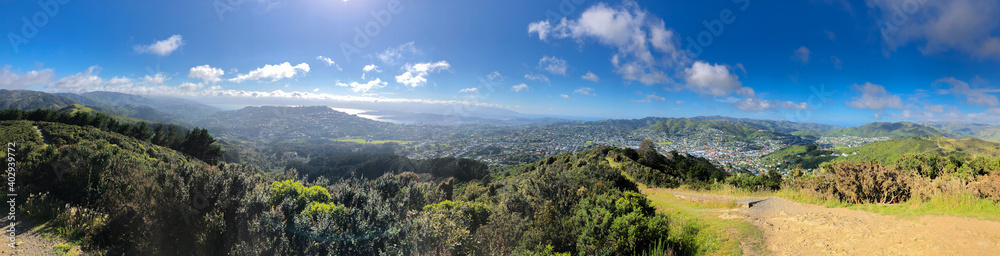 New year's day in New Zealand, panorama