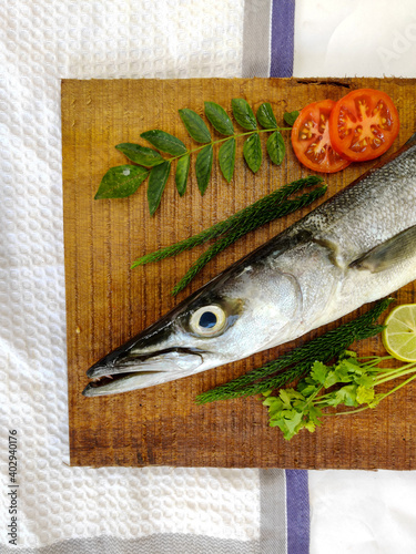 Fresh Barracuda fish or sea pike fish decorated with herbs and vegetables on a wooden pad.White background.Selective focus photo