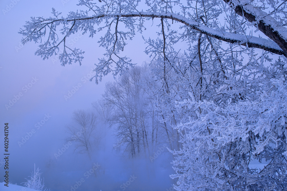 Winter landscape view of trees covered with fresh snow Winter landscape view of trees covered with fresh snow