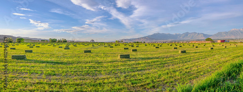 Scenic green farmland panorama in Utah Valley with mountain and cloudy sky view