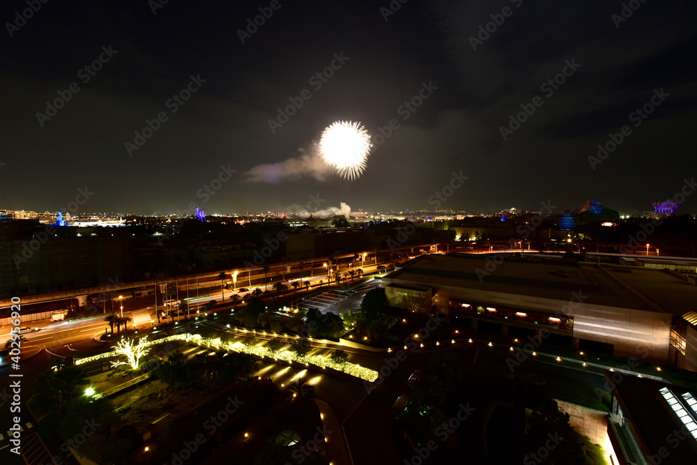 Fototapeta premium 東京の冬の花火