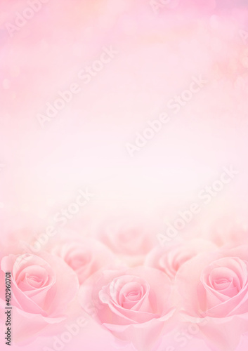 Wallpaper Mural Pink Rose flowers with blurred sofe pastel color background for love wedding and valentines day. Torontodigital.ca