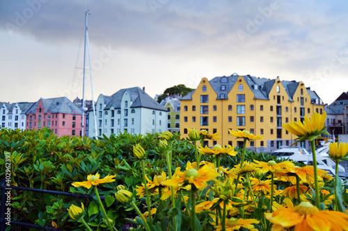 Colorful Art Nouveau architecture in cloudy summer day, Alesund, Norway. Architecture is historic heritage and landmark. Blooming yellow flowers on foreground and blurry buildings on background.