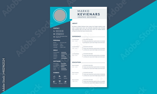 Professional resume template layout