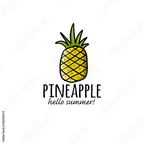 Pineapple logo. Sketch for your design