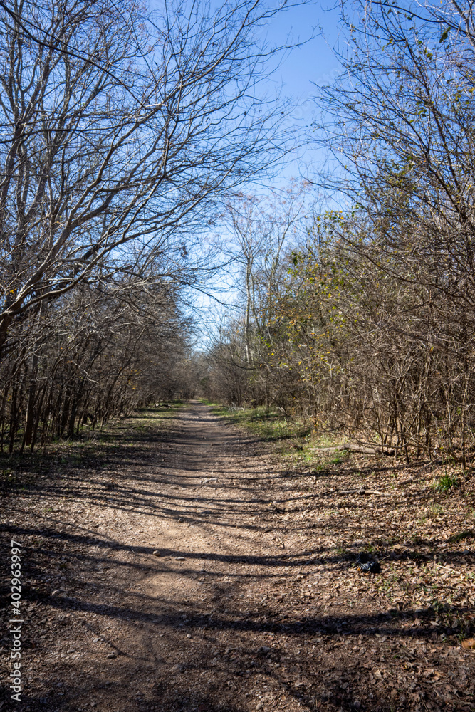 Scenery of a thickly forested areas in the Austin, Texas Hill Country. Scenery of a thickly forested areas in the Austin, Texas Hill Country.