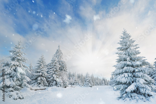 verschneite Berglandschaft mit Sonnenschein © Jenny Sturm