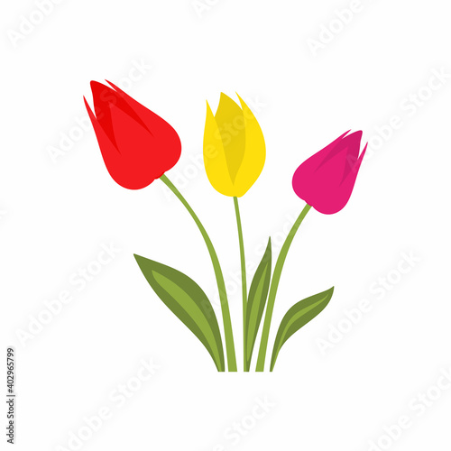 Colorful tulip flower carto...