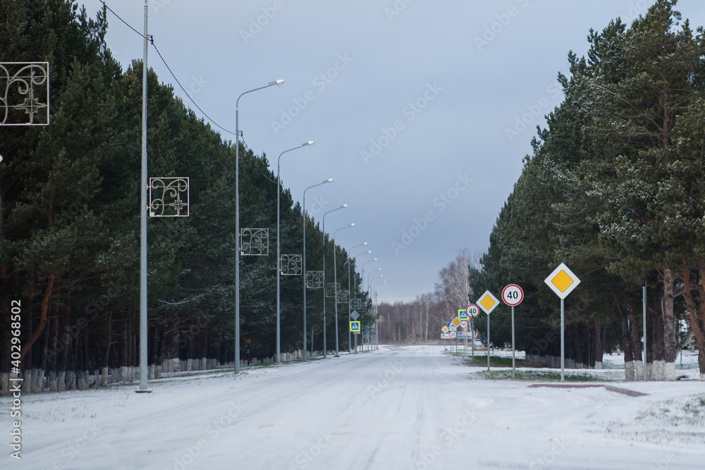 Fototapeta premium road in winter