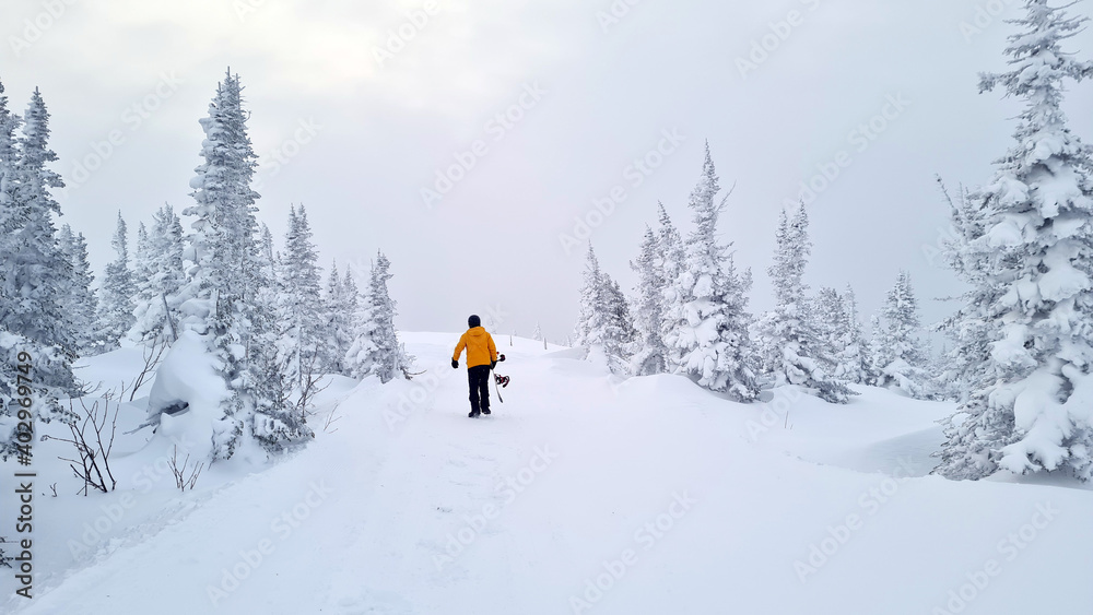 back view of sportsman holding snowboard while walking on white snow.