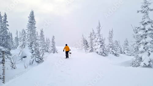 back view of sportsman holding snowboard while walking on white snow.