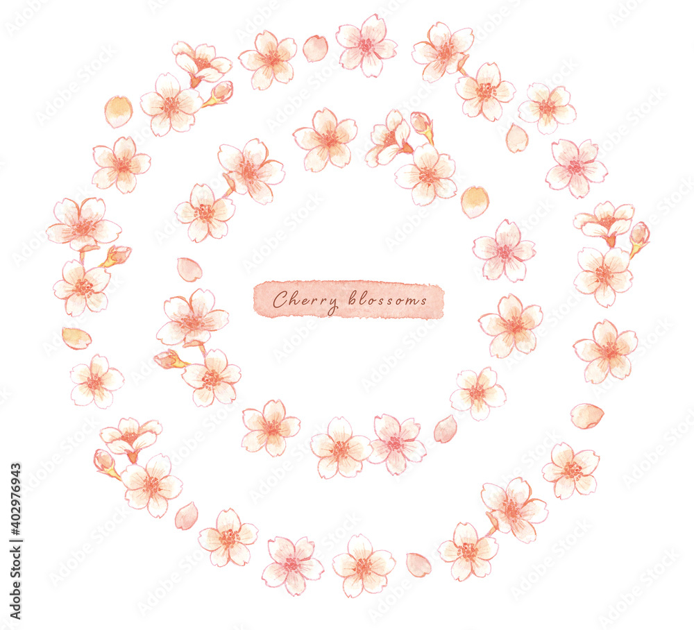 水彩画の桜のフレームイラストセット
