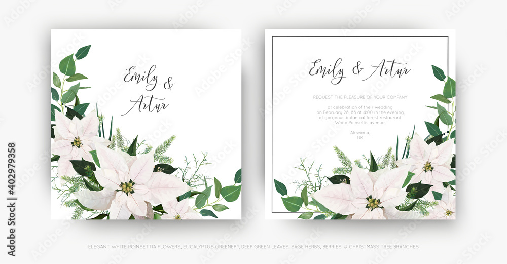 Stylish, winter season floral wedding invite, invitation, greeting card vector template set. Ivory white Poinsettia flower, Christmas spruce tree branches, Eucalyptus greenery, green leaves decoration
