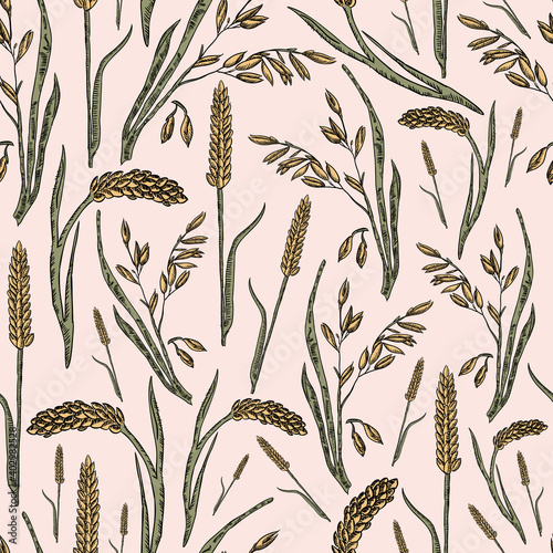 Vector hand drawn oats and wheat grain seamless pattern background. Good use for fabric, wallpaper, upholstery textile, kitchen tiles and many more surface.