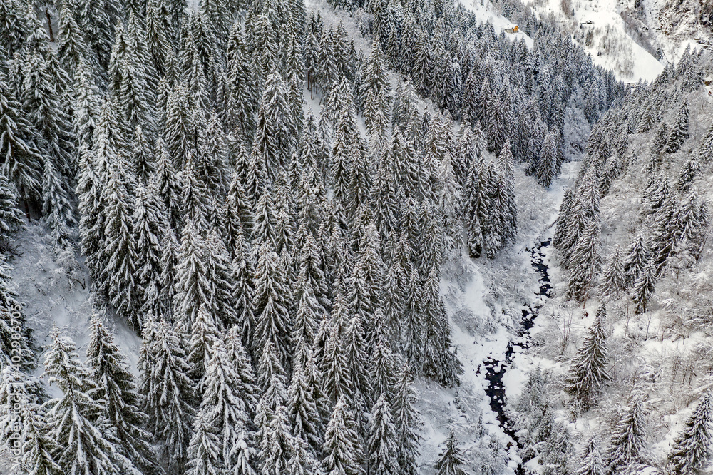 Alpine stream in winter, aerial Alpine stream in winter, aerial