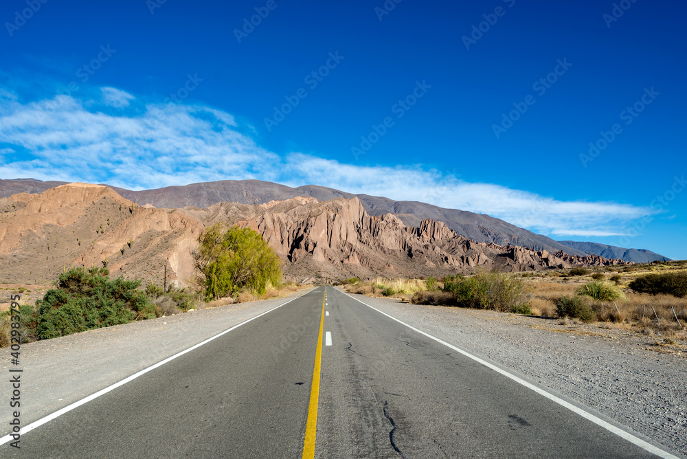 Empty road in the Puna desert, Argentina, Salta province, Andes