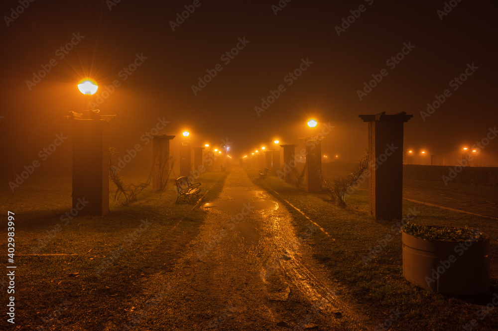 Park alley in the dark