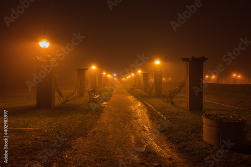 Obraz na płótnie Park alley in the dark w salonie