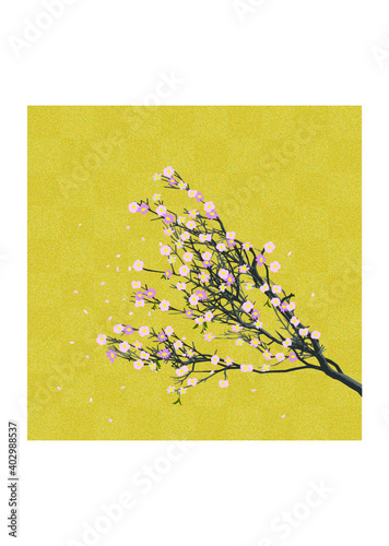 金屏風　桜