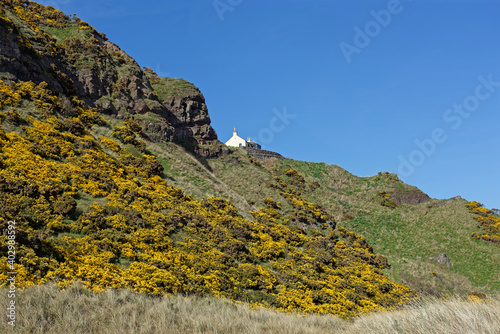 A small Fishermans Cottage perched on the edge of the Cliffs at St Cyrus Nature Reserve in Aberdeenshire, with masses of Flowering Gorse below.