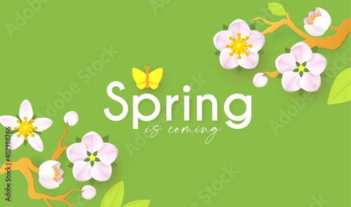 Spring background with soft flowers, bees and butterflies. Spring is coming design with apple and cherry blossom branch