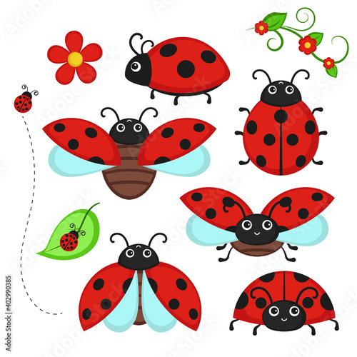 Set of ladybug characters.