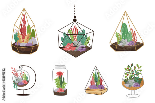 Home decor with florarium. Vector illustration on white. Set of suculents and cactus.
