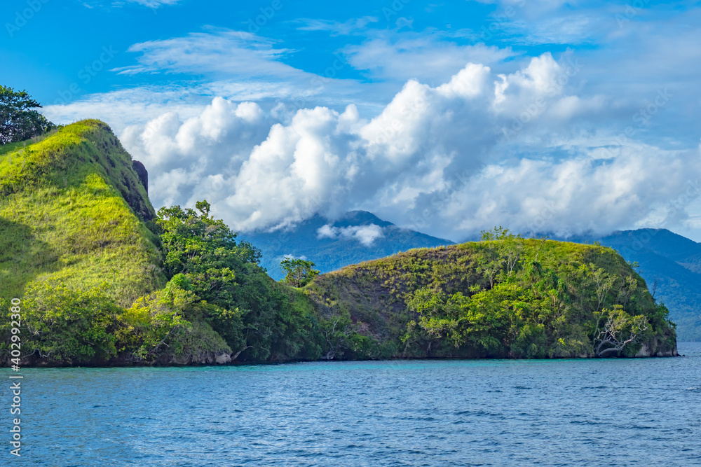 Tropical jungle in remote islands of Papua New Guinea