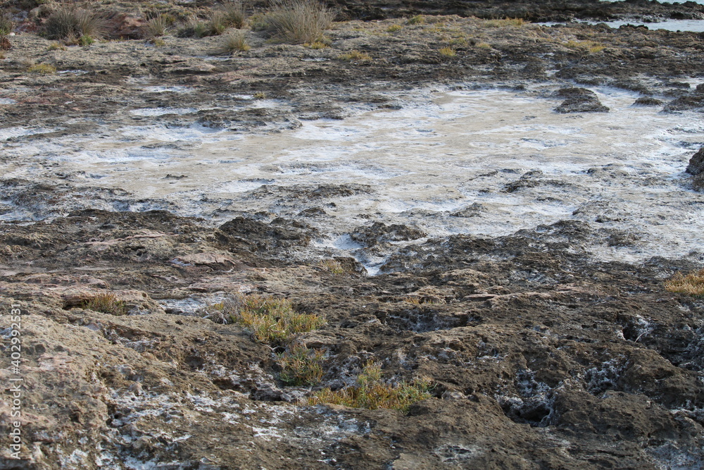 stream in the mountains