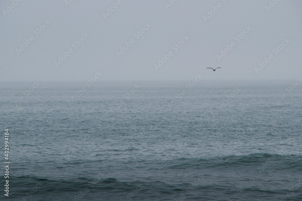 smooth waves coming ashore on a foggy day