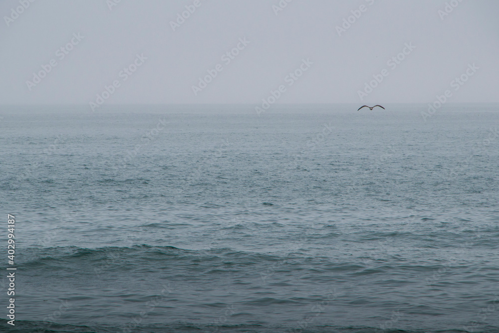 smooth waves coming ashore on a foggy day smooth waves coming ashore on a foggy day