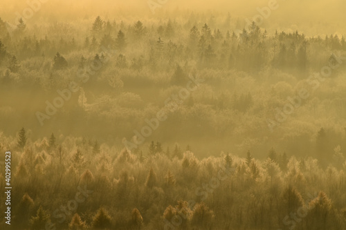 Herbstmorgen über dem Nationalpark Hunsrück-Hochwald