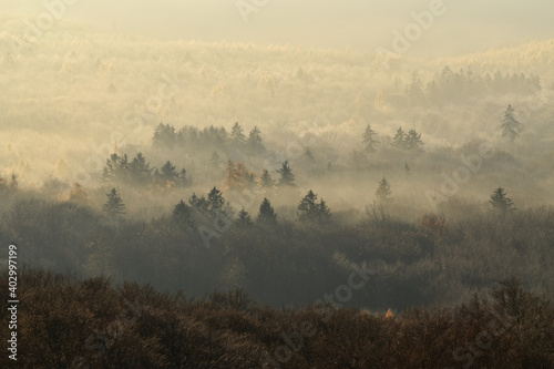 Herbstmorgen über dem Nationalpark Hunsrück-Hochwald