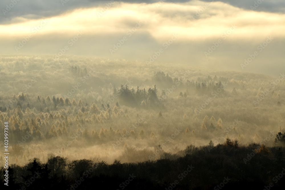 Obraz premium Herbstmorgen über dem Nationalpark Hunsrück-Hochwald