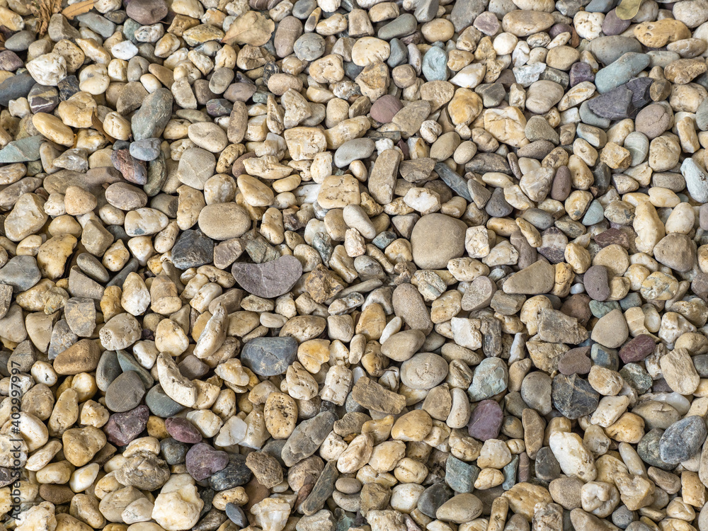 brown pebbles stone path floor in garden a nature and abstract background of river pebble surface for outdoor decoration brown pebbles stone path floor in garden a nature and abstract background of river pebble surface for outdoor decoration