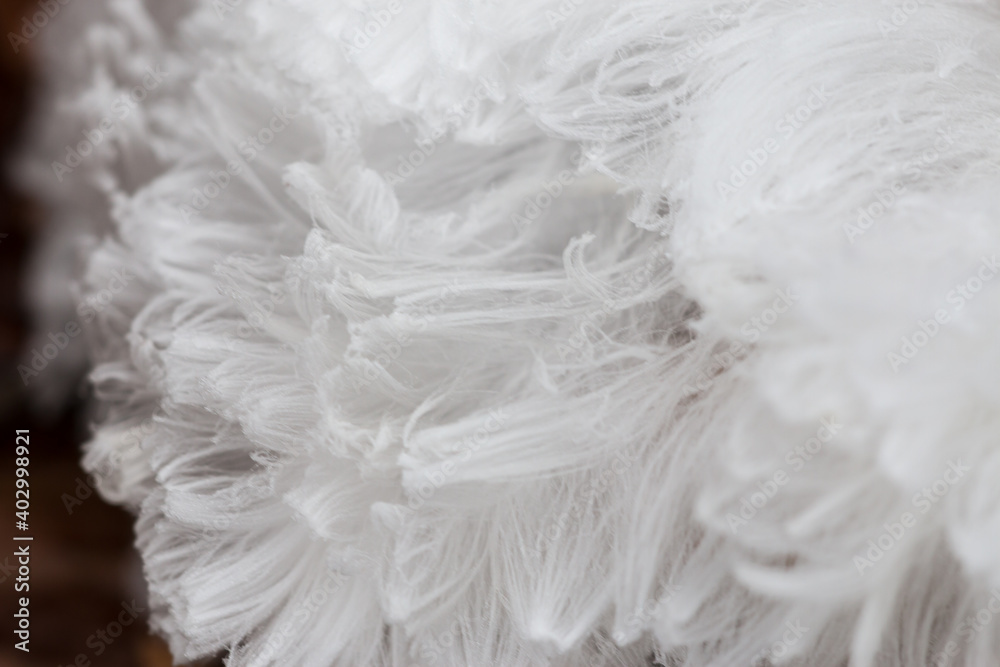 Hair ice, ice wool frost beard, ice that forms on dead wood and takes the shape of fine, silky hair. Hair ice, ice wool frost beard, ice that forms on dead wood and takes the shape of fine, silky hair.