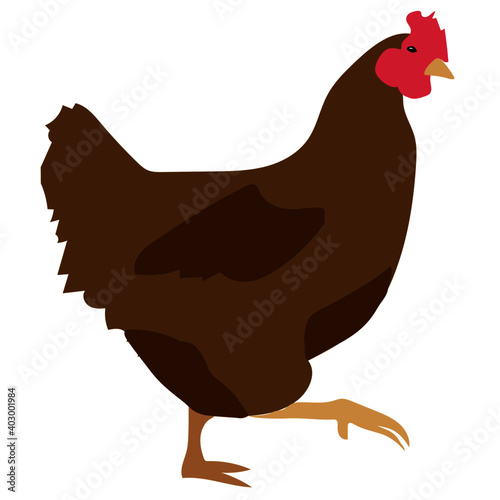 Huhn