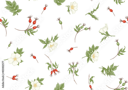 Rose hips with flowers and berries seamless pattern. Graphic drawing, engraving style. Vector illustration.